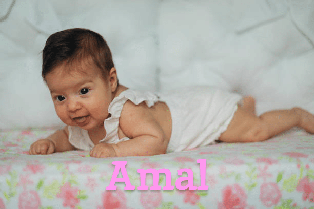Amal