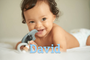 David