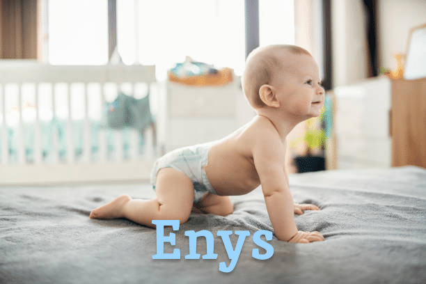 Enys