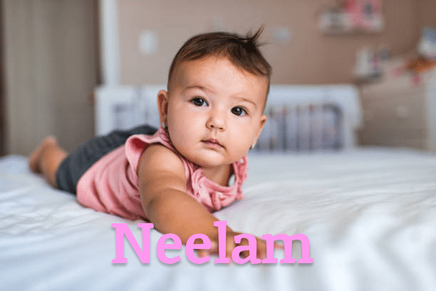 Neelam