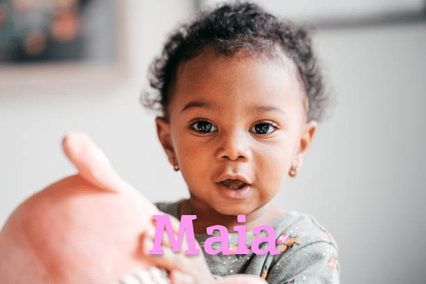 Maia